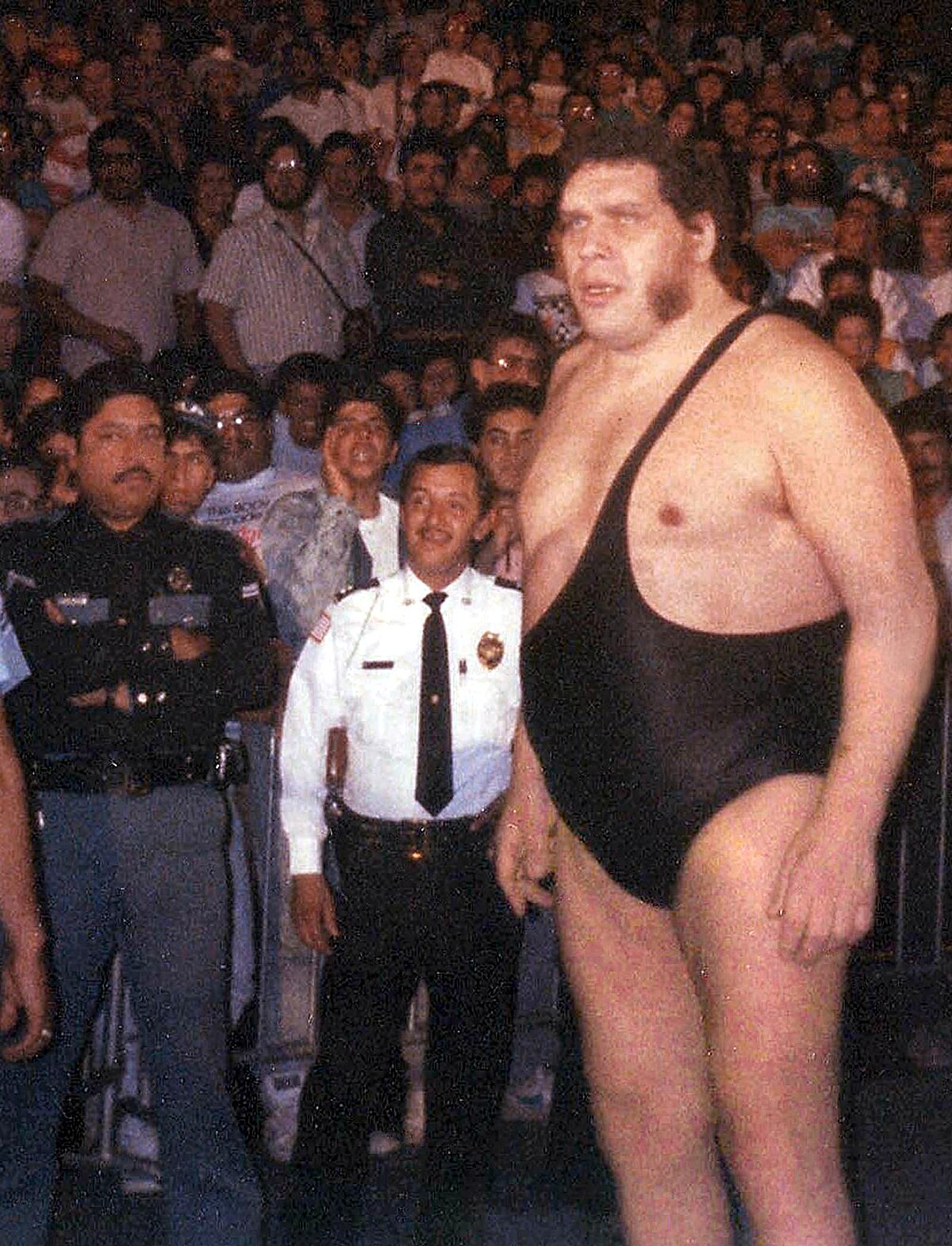 Andre the Giant