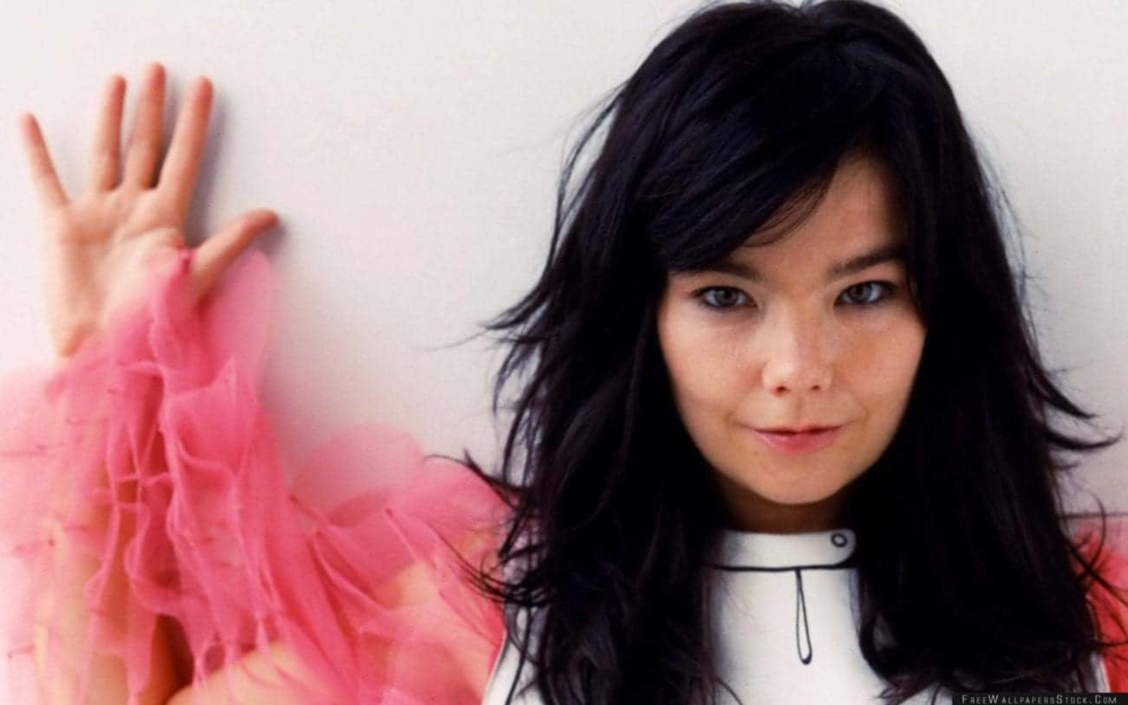  Bjork