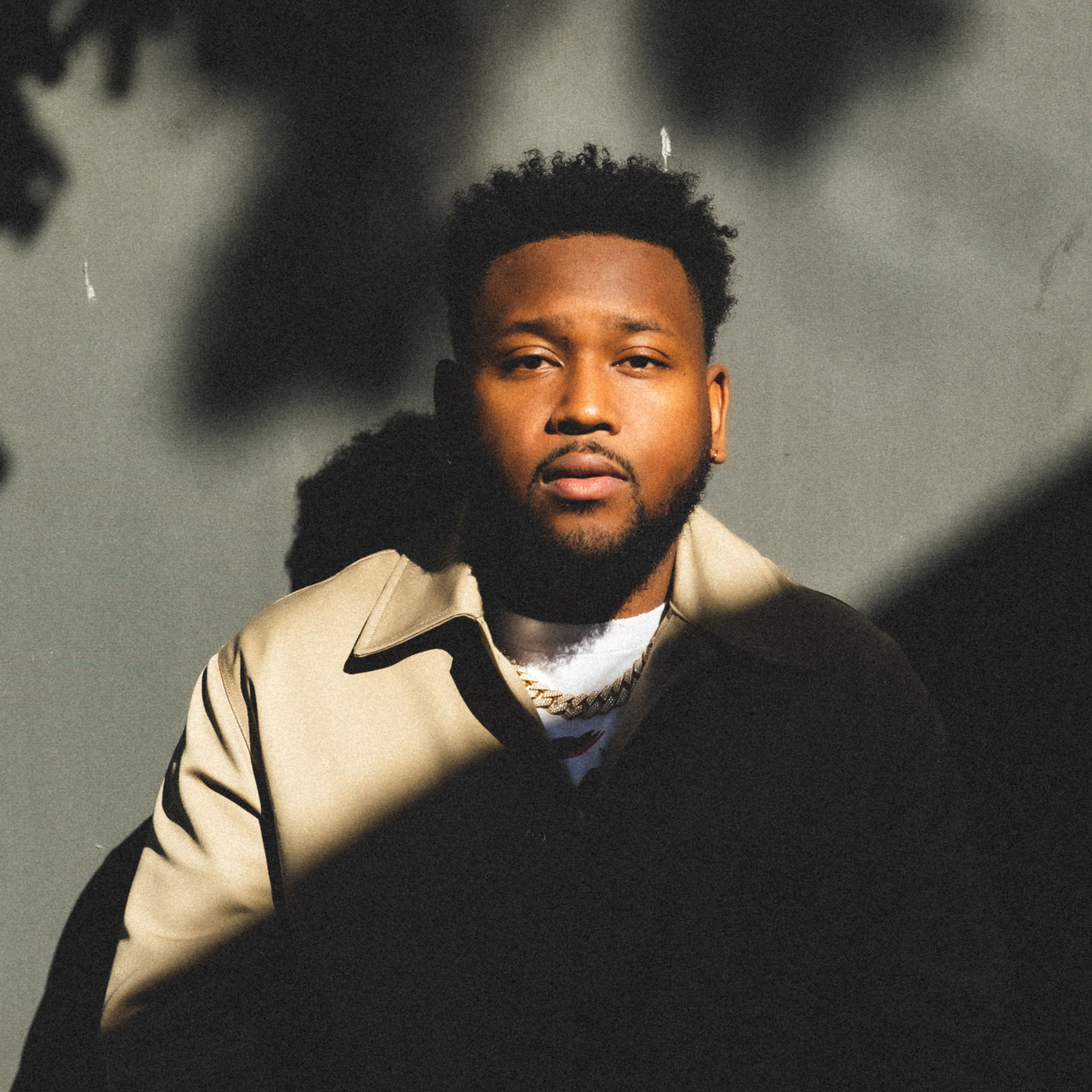  Boi-1da