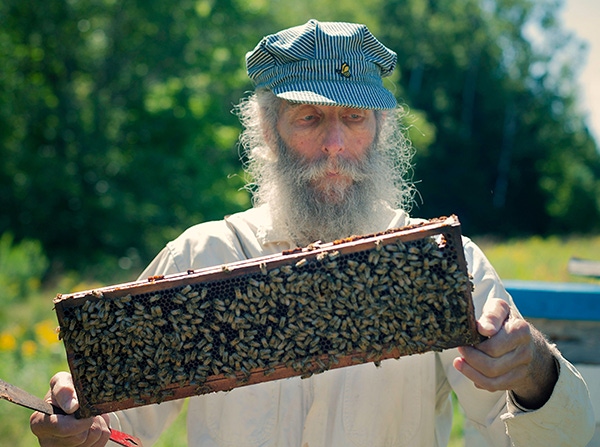 Burt Shavitz