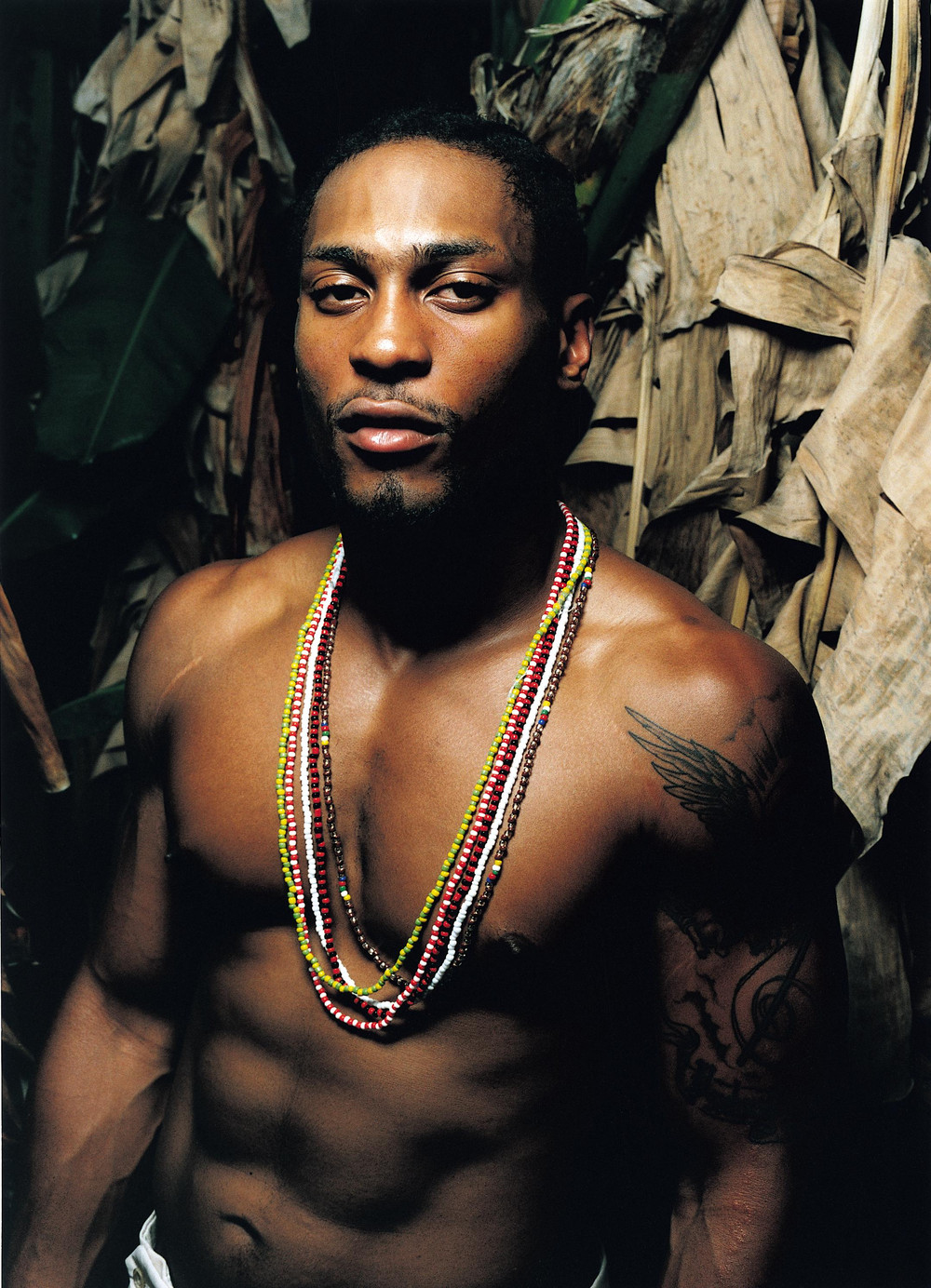  D'Angelo