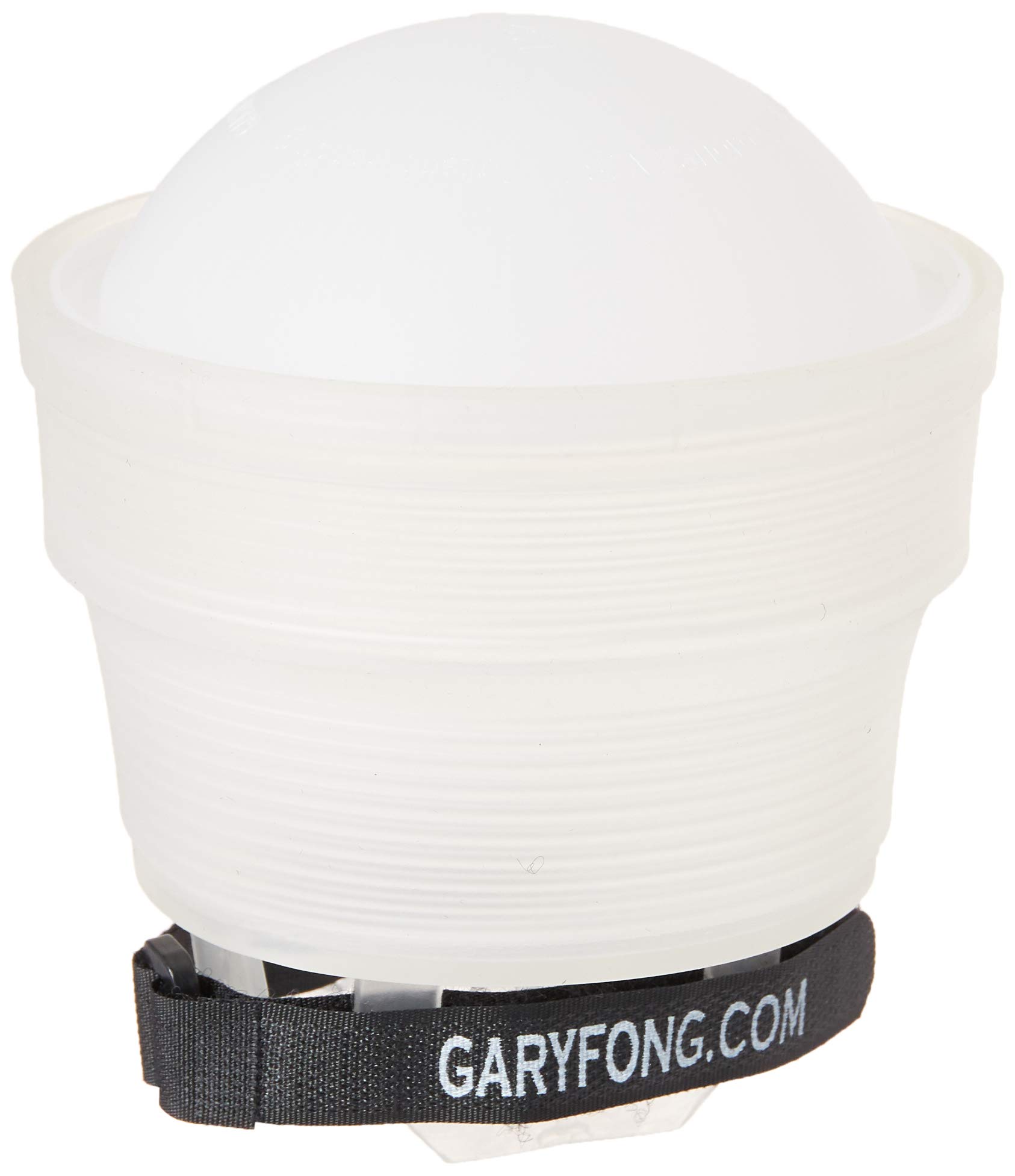 Gary Fong