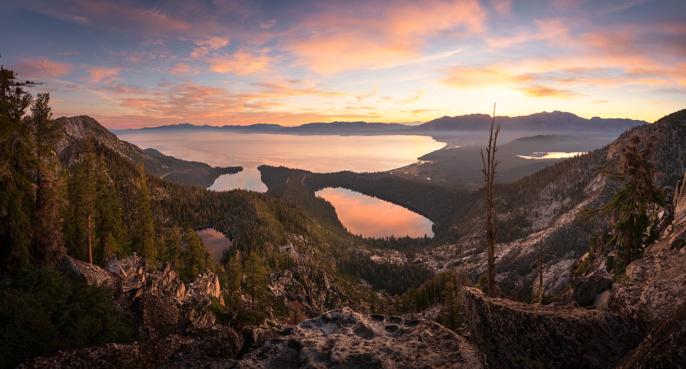 Jeff Lewis