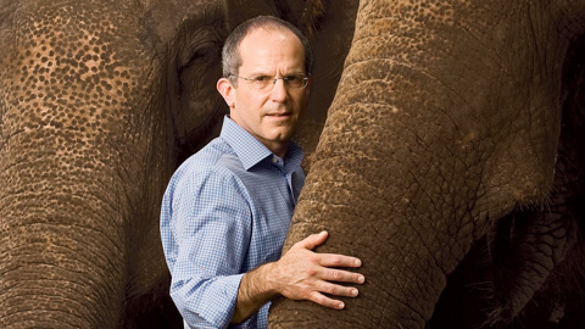 Kenneth Feld