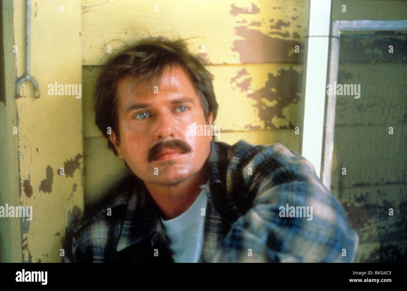 Paul Le Mat