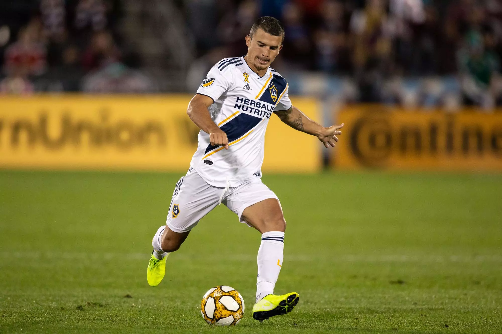 Servando Carrasco