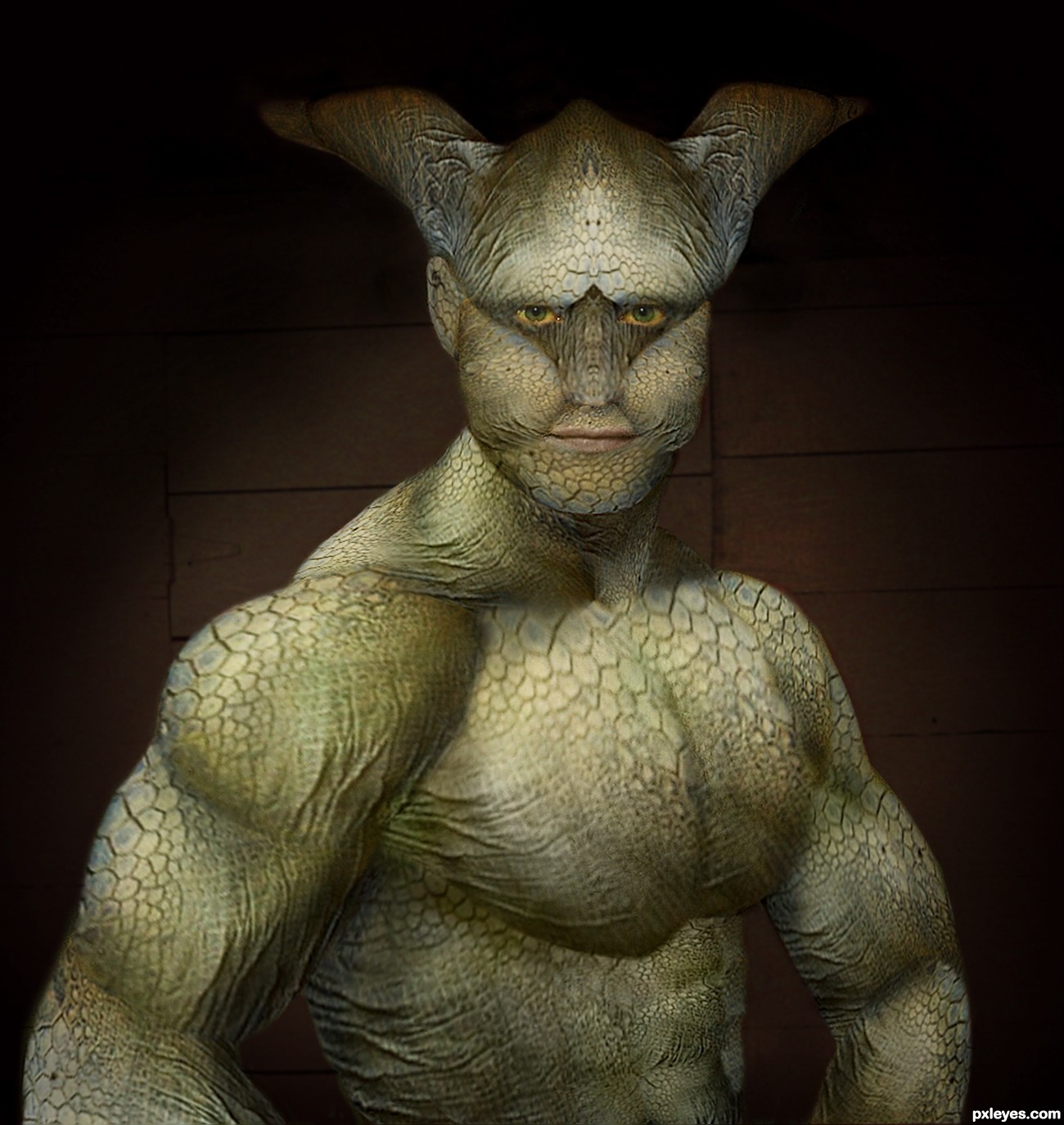 Turtle Man