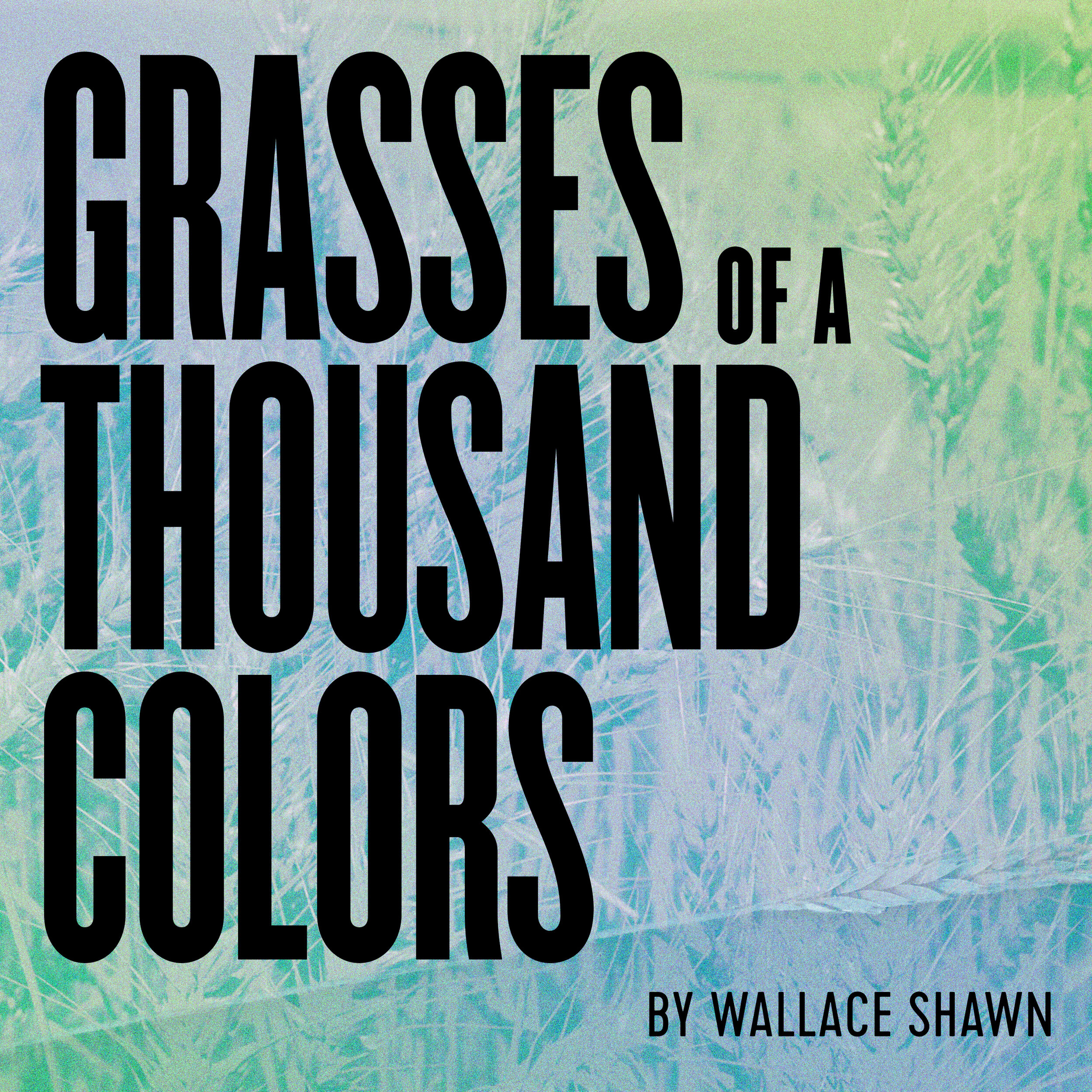Wallace Shawn