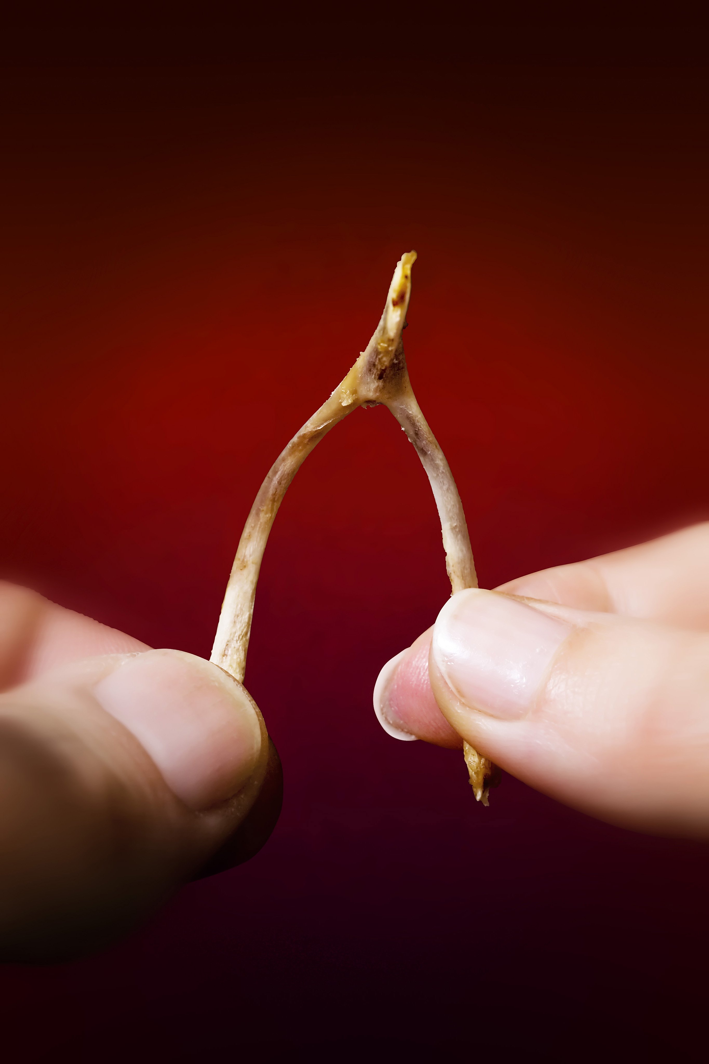 Wish Bone